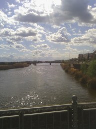 Viendo el puente de hierro